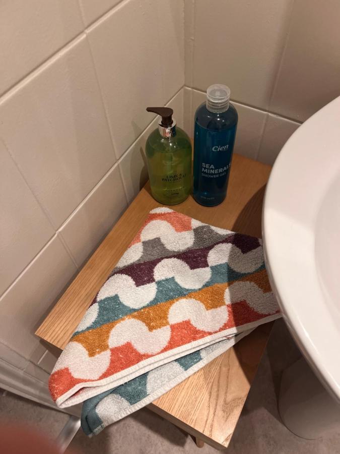 Luxury Cosy Retreat Apt London Eksteriør billede